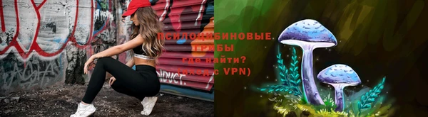 героин Богданович