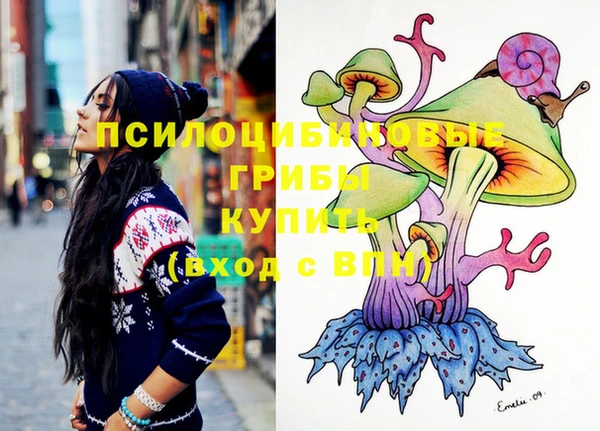 ECSTASY Богородицк