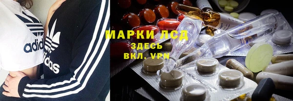 ECSTASY Богородицк