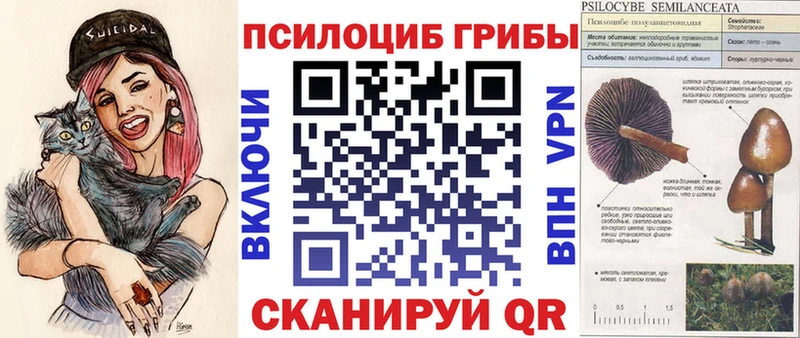 Псилоцибиновые грибы мицелий  что такое наркотик  Кондопога 